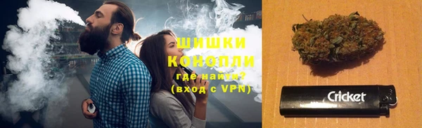 PSILOCYBIN Верея